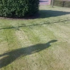 XXL Nutrition-winkel -XXL Nutrition-winkel 550x309 71