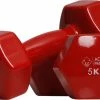 Gloednieuw ⌛ Active Panther Dumbbell Set 2 X 5 KG - 10 Kg Totaal - Vinyl - Rood ⭐ -XXL Nutrition-winkel 550x347 2