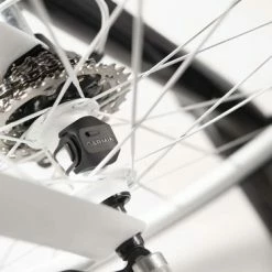 Flash-uitverkoop ???? Garmin Snelheidsensor 2 - ANT+ Connectiviteit - Geschikt Voor Garmin Edge Serie ???? -XXL Nutrition-winkel 550x367 8