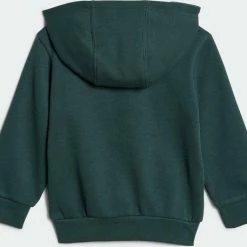 Korting ???? Adidas Adicolor Hoodie Set Junior Trainingspak Unisex - Maat 74 ???? -XXL Nutrition-winkel 550x457 2