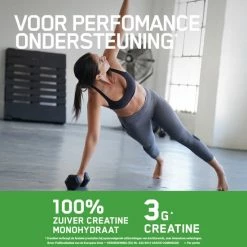 Beste Pirce ???? Optimum Nutrition Micronized Creatine Powder - Creatine Poeder - Creatine Monohydraat - 1 Pot - 317 Gram (88 Doseringen) ???? -XXL Nutrition-winkel 550x550 17