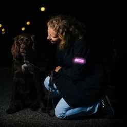 Begroting ???? Led Armband Batterijen | BEE SAFE Blauw | Hardloop Verlichting | Sportarmband ???? -XXL Nutrition-winkel 550x550 399