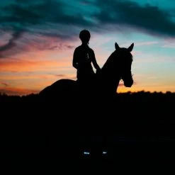 Begroting ???? Led Armband Batterijen | BEE SAFE Blauw | Hardloop Verlichting | Sportarmband ???? -XXL Nutrition-winkel 550x550 400